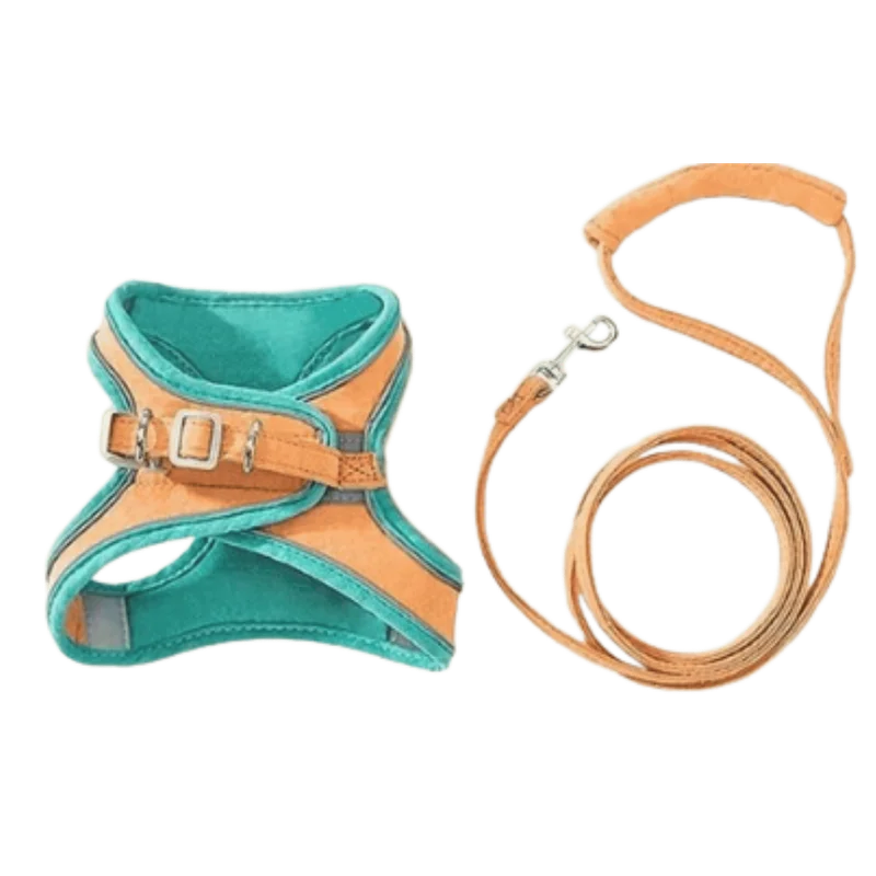 Harnais Anti-Fugue & Laisse — Pour Chat d'Intérieur & Aventurier — Standard / Orange | Bleu sarcelle