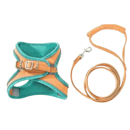 Harnais Anti-Fugue & Laisse — Pour Chat d'Intérieur & Aventurier — Standard / Orange | Bleu sarcelle